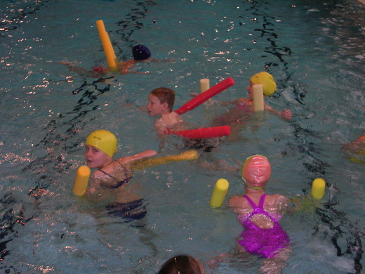 Plavání Znojmo 2010.jpg
