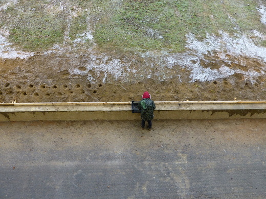 2021 Obnova zeleně.JPG