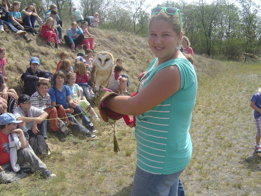 Dravci v letu 2012.JPG