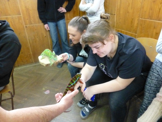 Exotická zvířata 2015.JPG