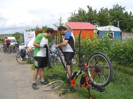 Kola Šatov 2012.JPG