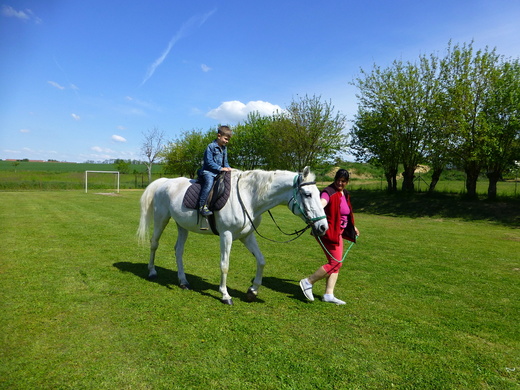 Koník ve škole.JPG