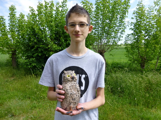 Modely zvířat.JPG