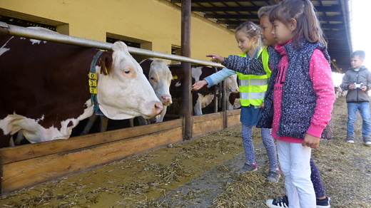 Prvňáci v kravínu.JPG