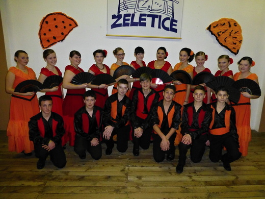 Školní ples 2014.jpg