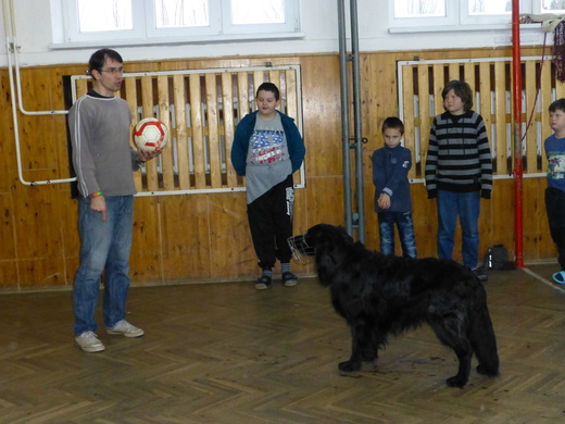 Sorbon-pes fotbalista 2016.JPG