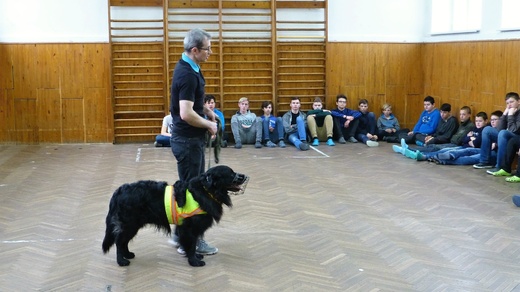 Sorbon - pes fotbalista.JPG