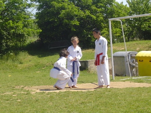 Taekwondo 2011.JPG