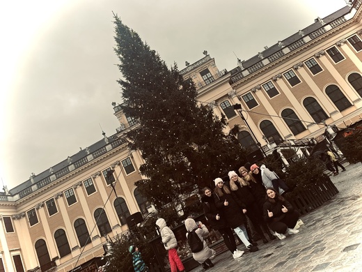 Vánoční Vídeň.jpeg