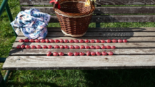 Velikonoční hledání vajíček.JPG