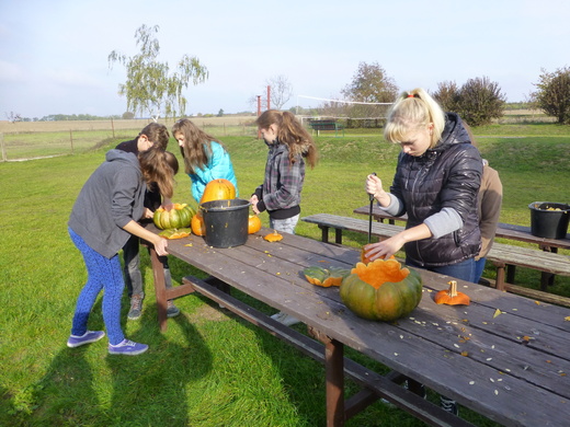 Vydlabávání dýní.JPG