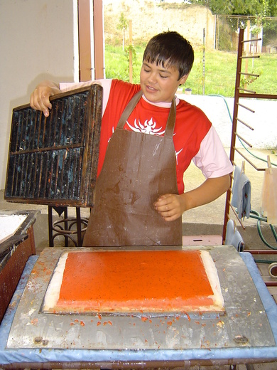 Želetická papírna 2006.jpg